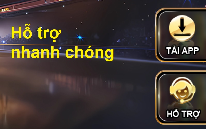 Hỗ trợ nhanh chóng