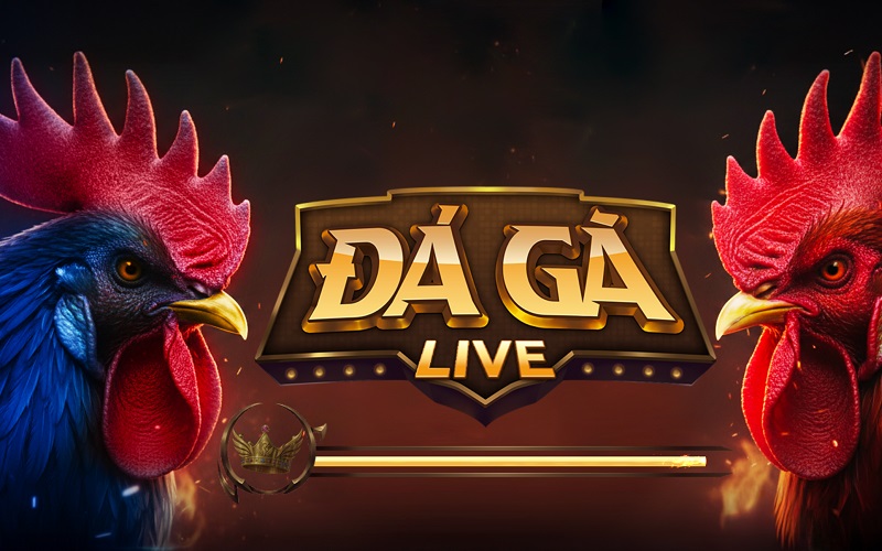 Đá Gà live là gì?